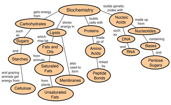 Basic Biochemistry concepts (HyperPhysics, 2023)