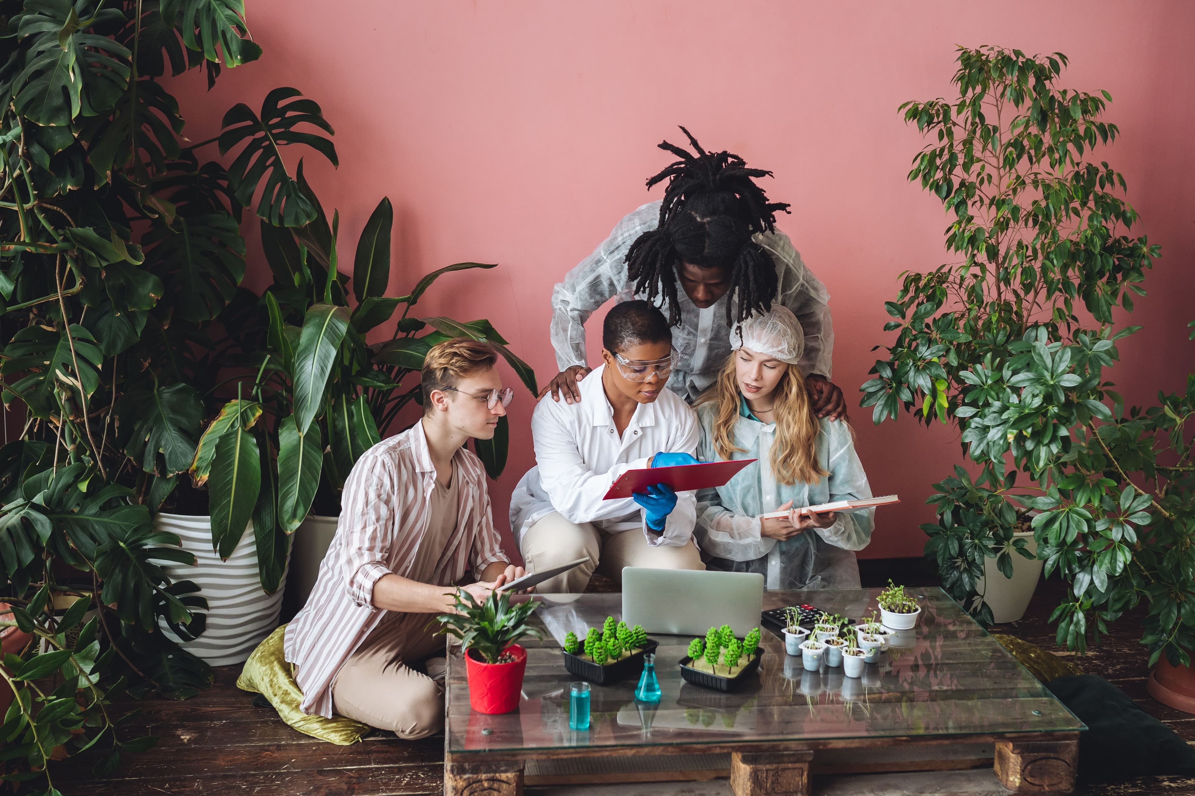 IB Environmental Systems and Societies (ESS): A Complete Guide