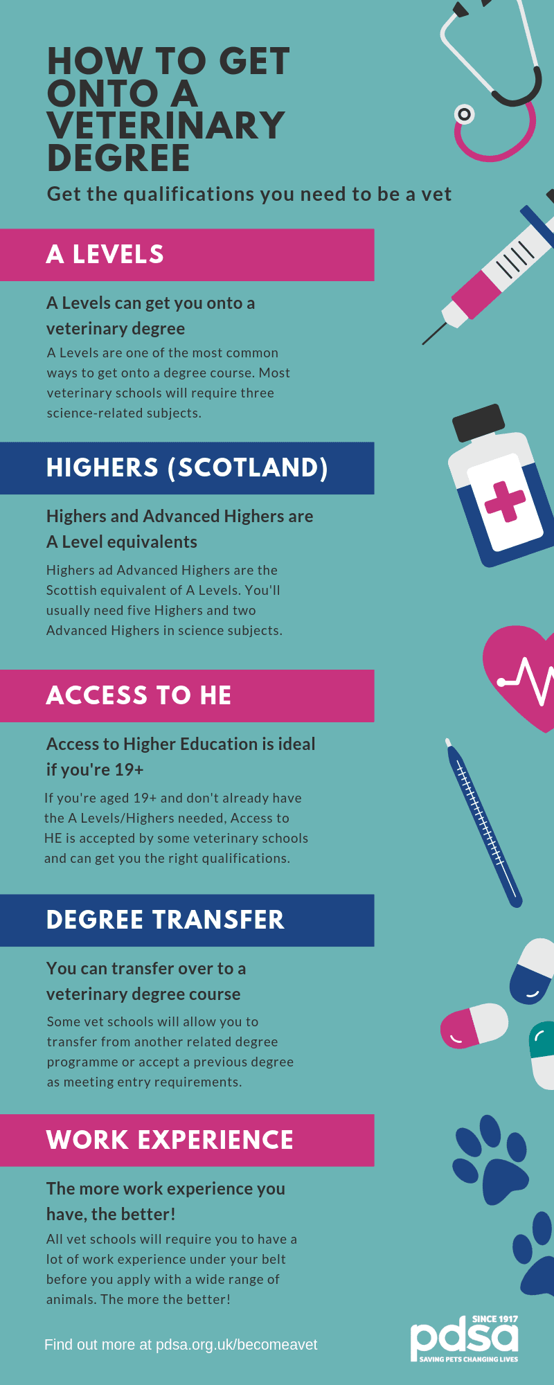 What ALevels Do You Need to a Vet? TutorChase