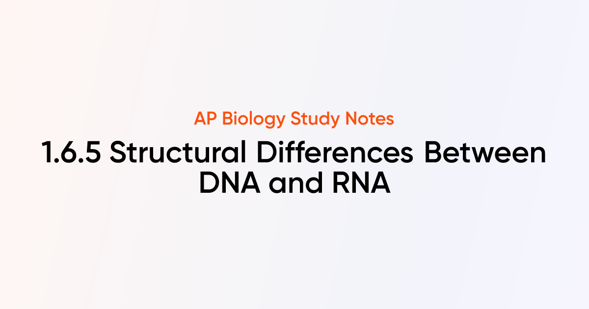 Structural Differences Between DNA and RNA (1.6.5) | AP Biology Notes ...