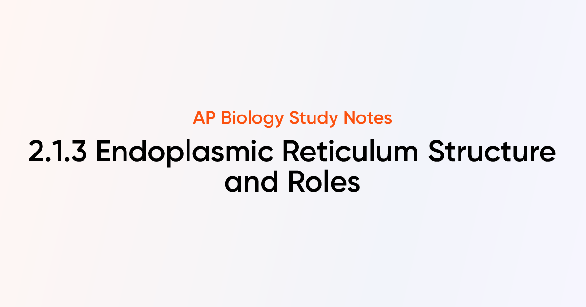 Endoplasmic Reticulum Structure and Roles (2.1.3) | AP Biology Notes ...