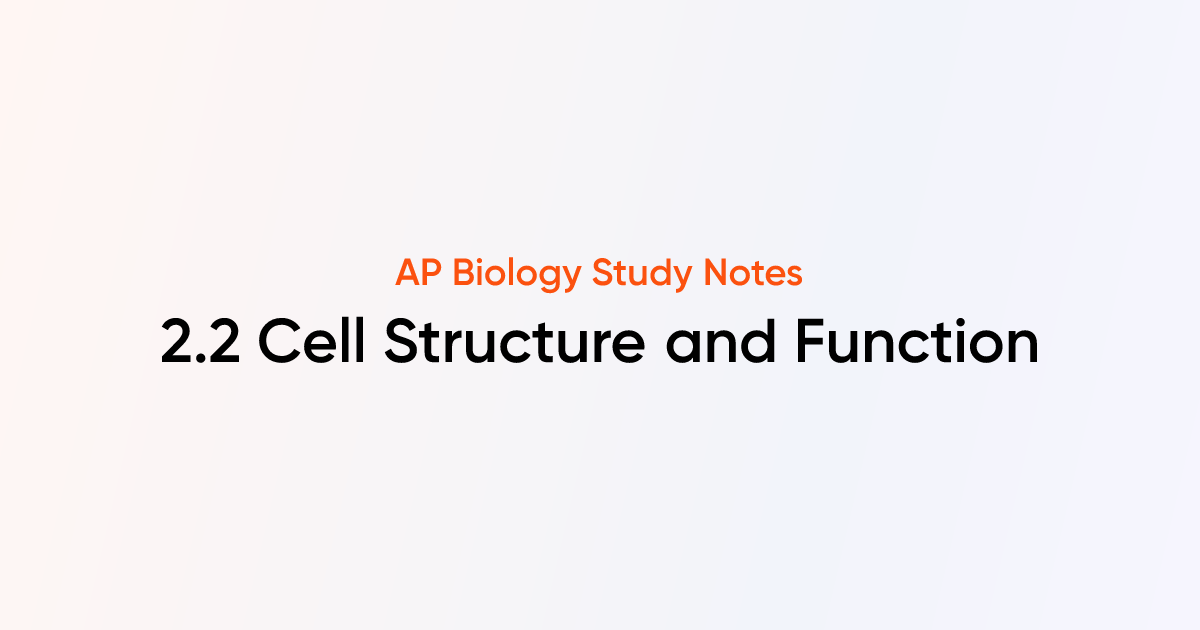 2.2 Cell Structure and Function | AP Biology Notes | TutorChase