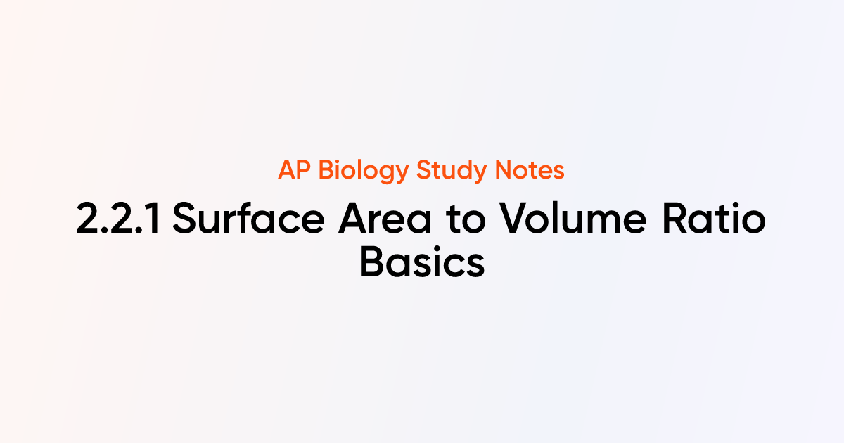 Surface Area to Volume Ratio Basics (2.2.1) | AP Biology Notes | TutorChase