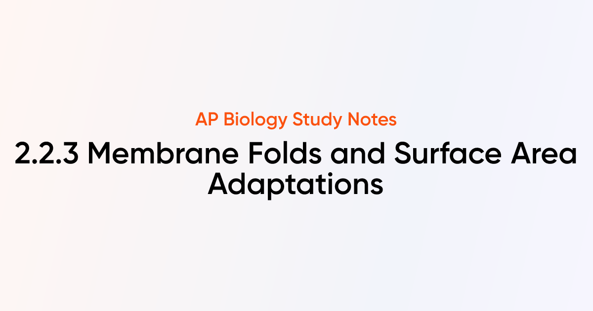 Membrane Folds and Surface Area Adaptations (2.2.3) | AP Biology Notes ...