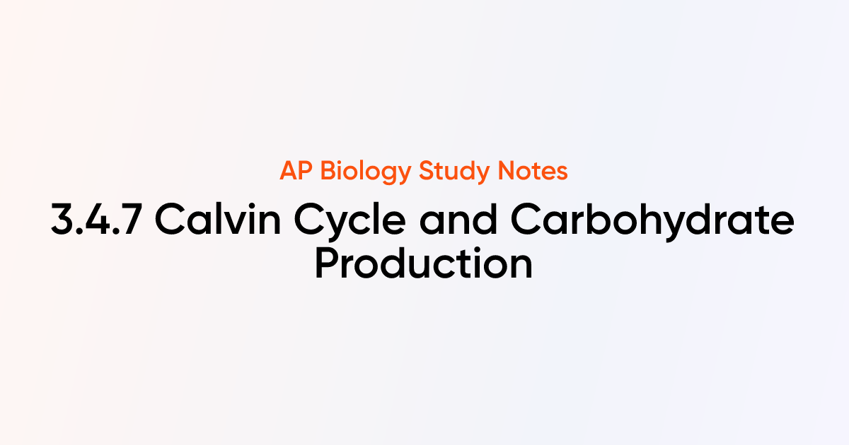 Calvin Cycle and Carbohydrate Production (3.4.7) | AP Biology Notes ...