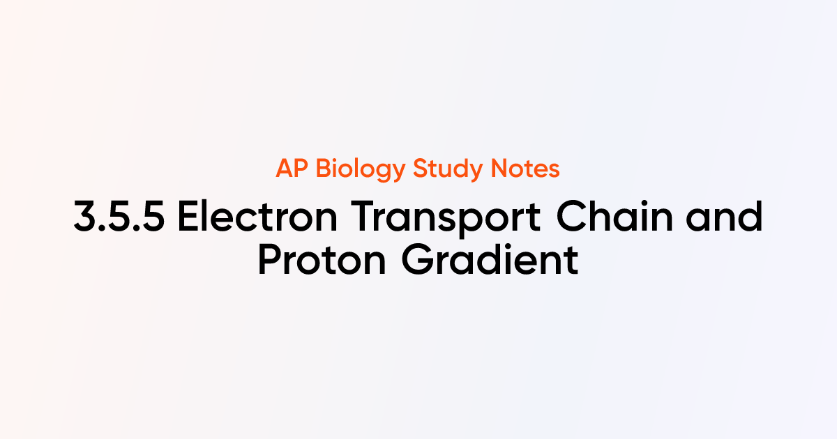 Electron Transport Chain and Proton Gradient (3.5.5) | AP Biology Notes ...