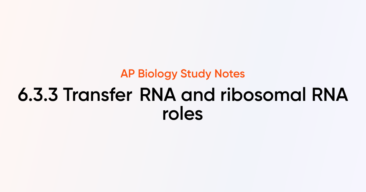 Transfer RNA and ribosomal RNA roles (6.3.3) | AP Biology Notes ...