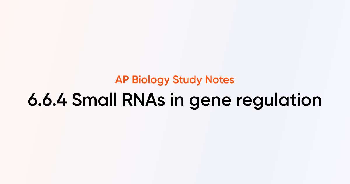 Small RNAs in gene regulation (6.6.4) | AP Biology Notes | TutorChase