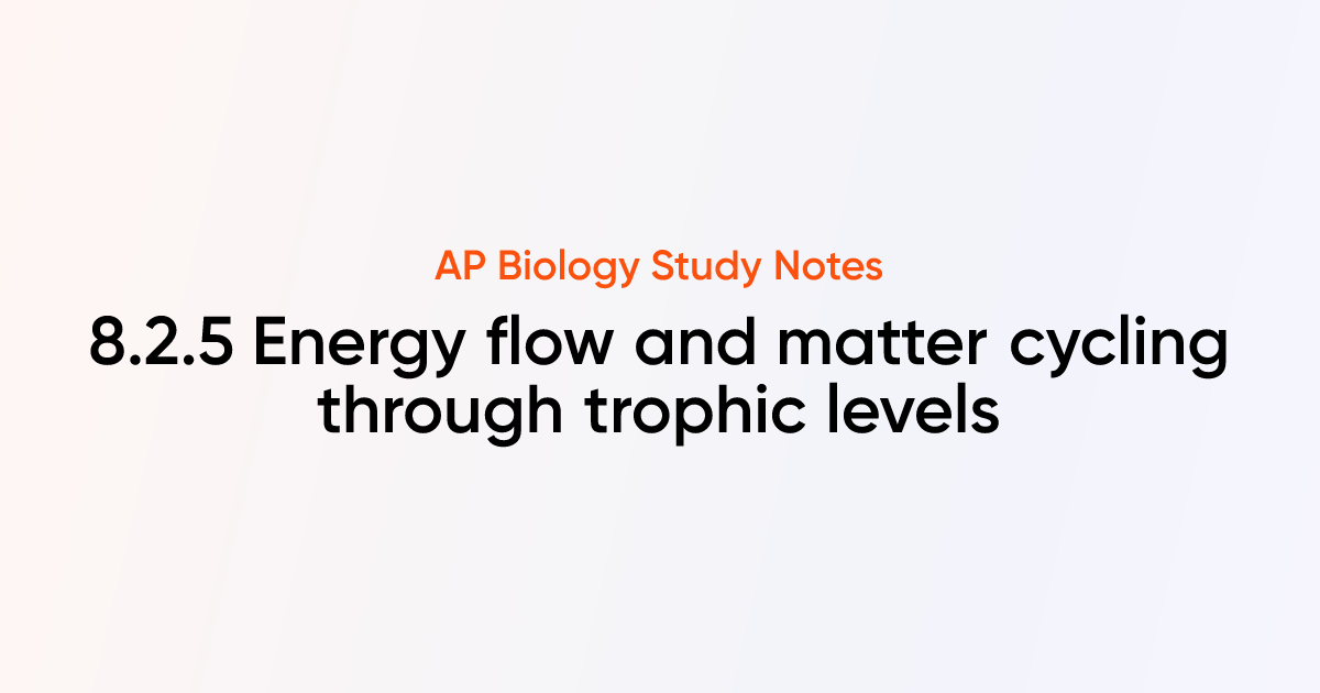 Energy flow and matter cycling through trophic levels (8.2.5) | AP ...