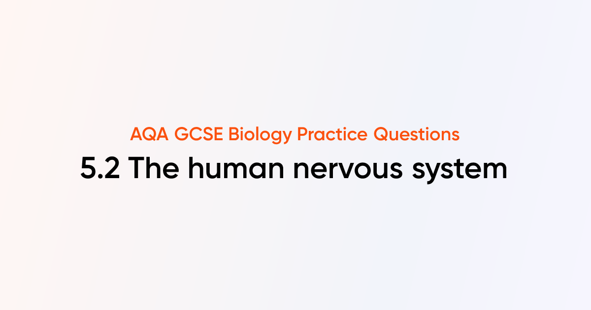 AQA GCSE Biology - 5.2 The human nervous system