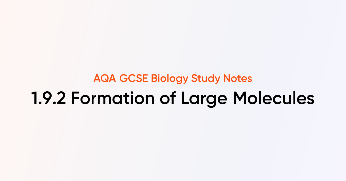 Formation of Large Molecules (1.9.2) | AQA GCSE Biology Notes | TutorChase