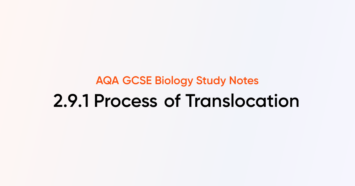 Process of Translocation (2.9.1) | AQA GCSE Biology Notes | TutorChase