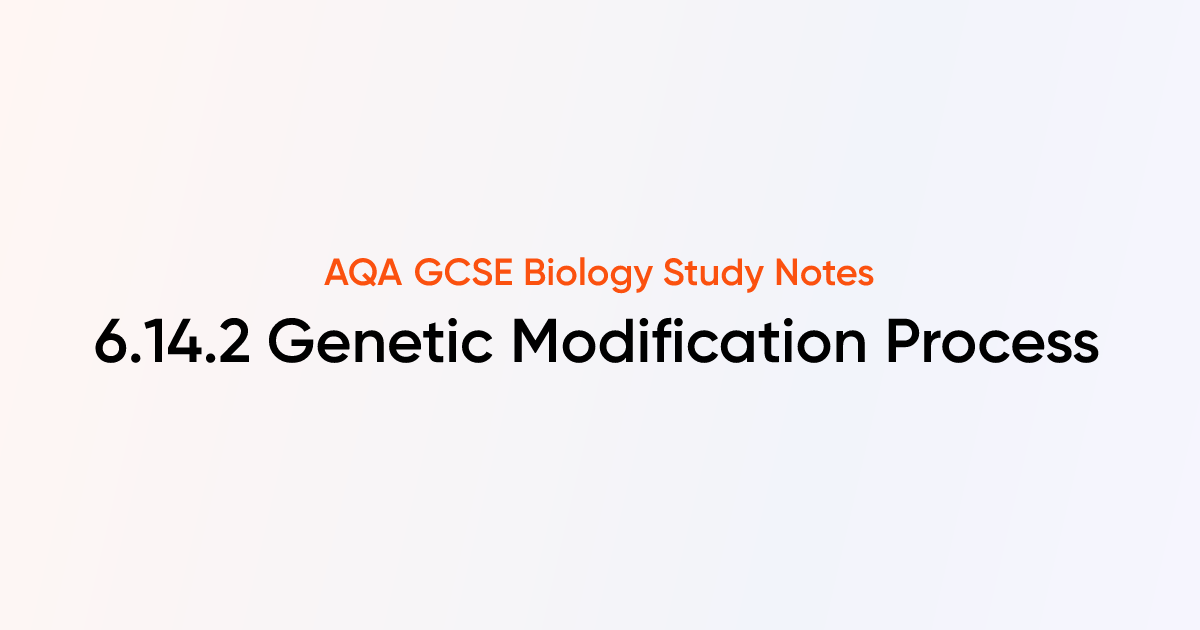 Genetic Modification Process (6.14.2) | AQA GCSE Biology Notes | TutorChase