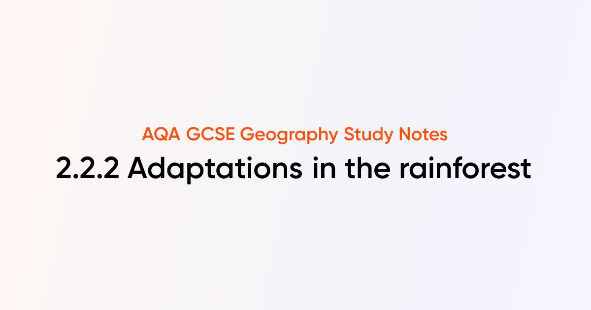 2.2.2 Adaptations in the rainforest | AQA GCSE Geography Notes | TutorChase