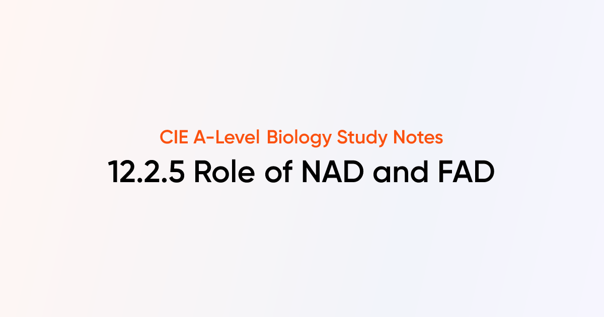 Role of NAD and FAD (12.2.5) | CIE A-Level Biology Notes | TutorChase