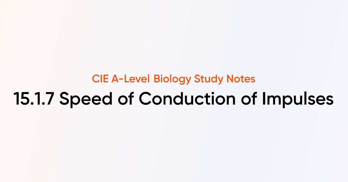 Speed of Conduction of Impulses (15.1.7) | CIE A-Level Biology Notes ...