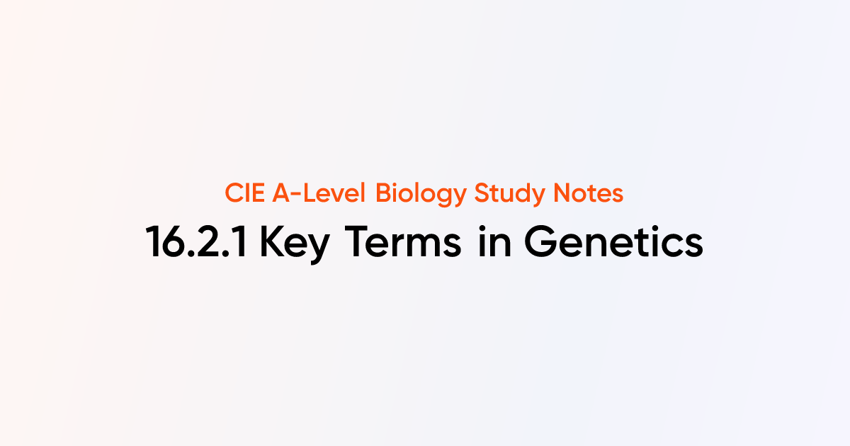 Key Terms in Genetics (16.2.1) | CIE A-Level Biology Notes | TutorChase