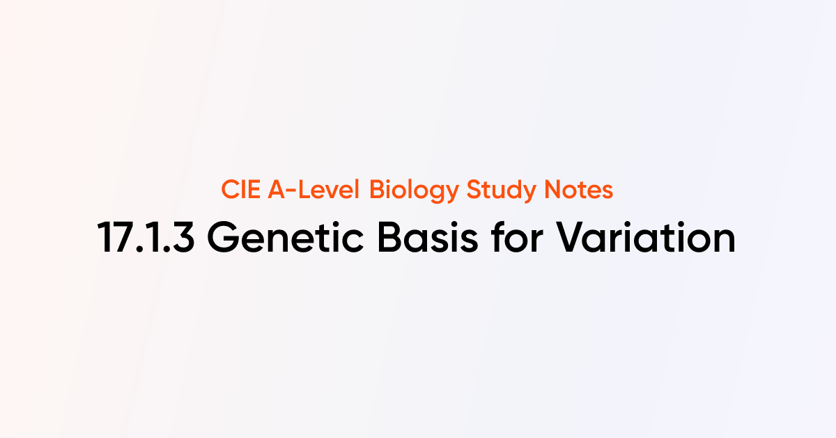 Genetic Basis for Variation (17.1.3) | CIE A-Level Biology Notes ...
