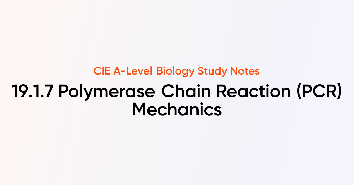 Polymerase Chain Reaction (PCR) Mechanics (19.1.7) | CIE A-Level ...