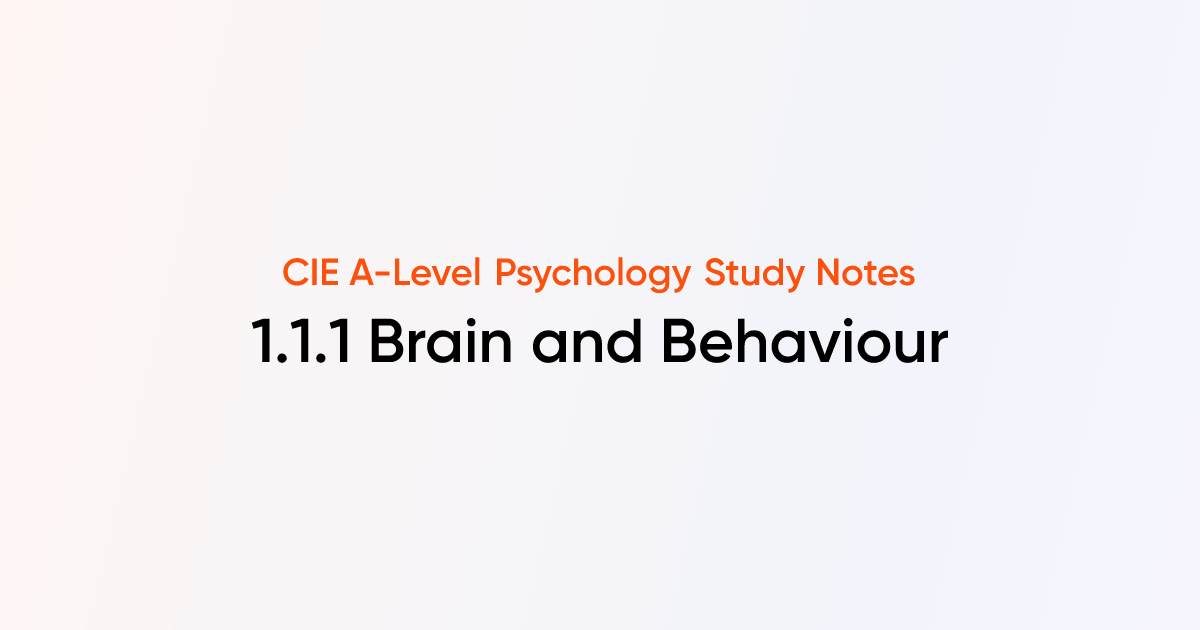 Brain and Behaviour (1.1.1) | CIE A-Level Psychology Notes | TutorChase