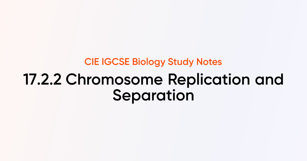 Chromosome Replication and Separation (17.2.2) | CIE IGCSE Biology ...