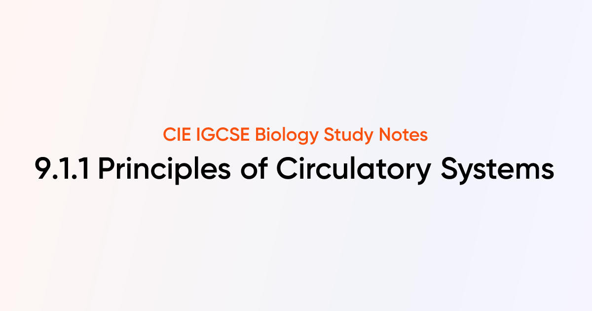Principles of Circulatory Systems (9.1.1) | CIE IGCSE Biology Notes ...