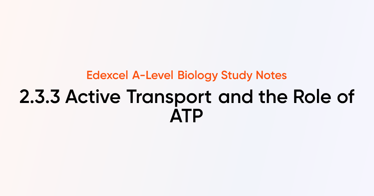 Active Transport and the Role of ATP (2.3.3) | Edexcel A-Level Biology ...