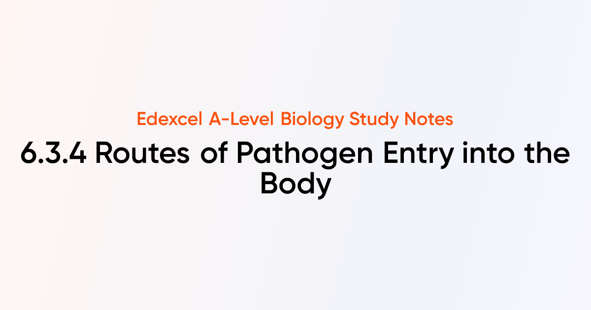 Routes of Pathogen Entry into the Body (6.3.4) | Edexcel A-Level ...