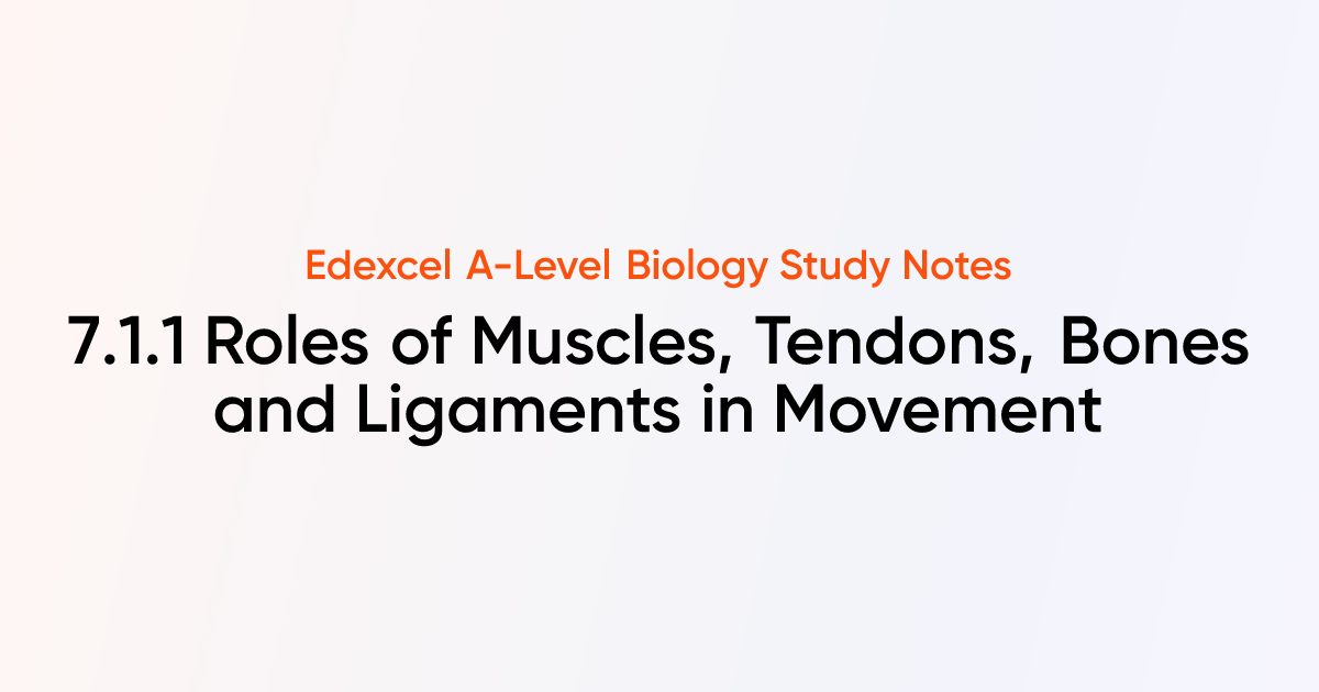 Roles of Muscles, Tendons, Bones and Ligaments in Movement (7.1.1 ...