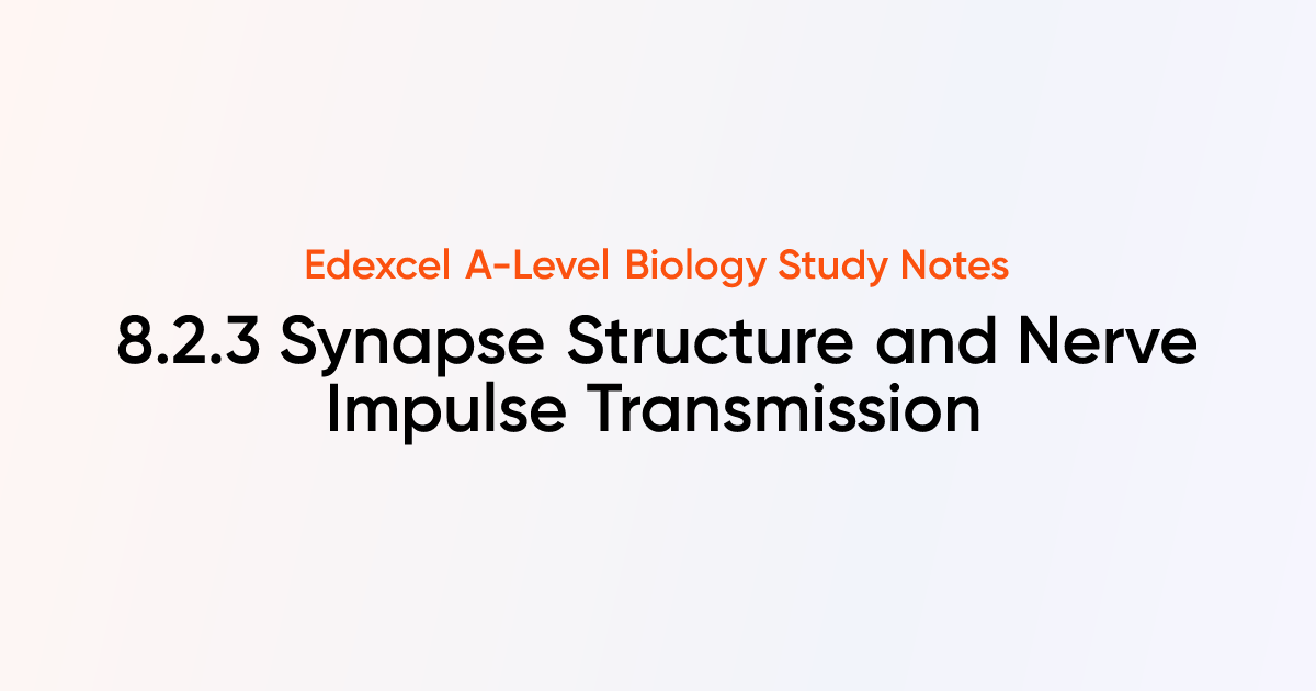 Synapse Structure and Nerve Impulse Transmission (8.2.3) | Edexcel A ...