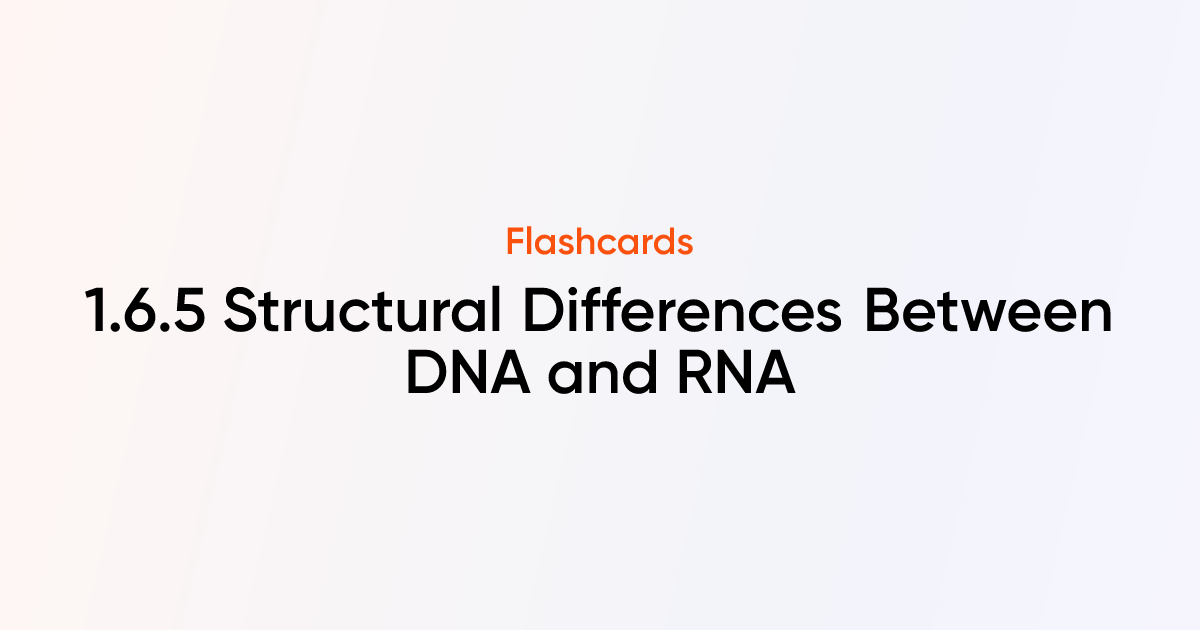 1.6.5 Structural Differences Between DNA and RNA Flashcards | TutorChase