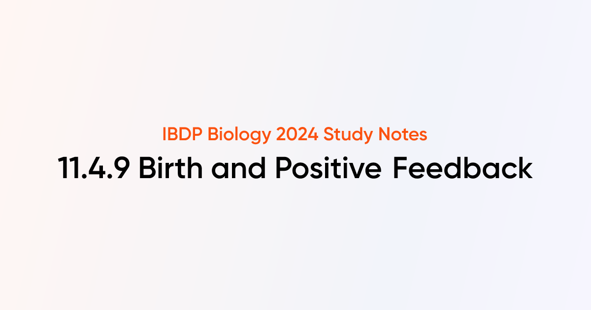 Birth and Positive Feedback (11.4.9) | IB DP Biology Notes | TutorChase