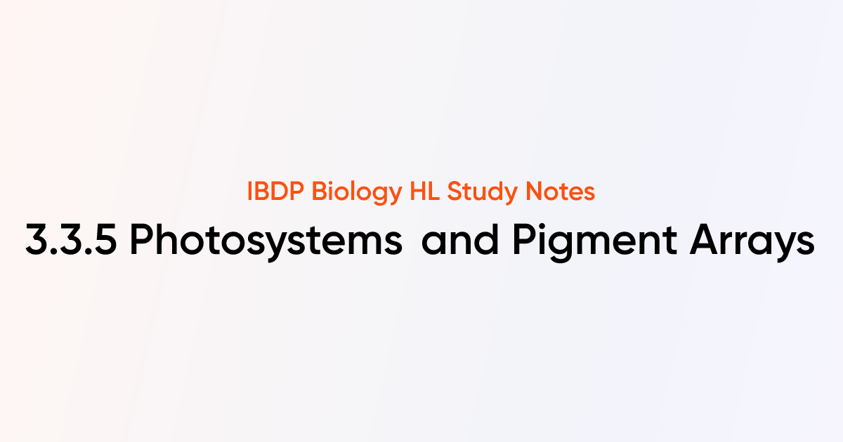 Photosystems and Pigment Arrays (3.3.5) | IB DP Biology HL 2025 Notes ...