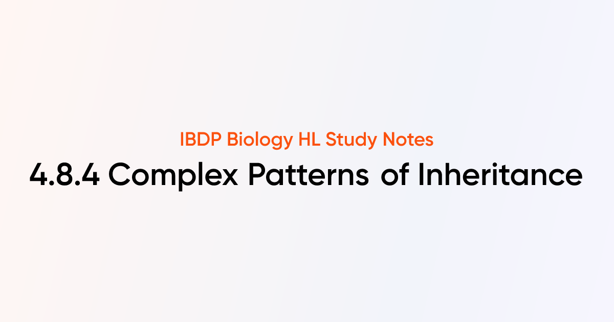 Complex Patterns of Inheritance (4.8.4) | IB DP Biology HL 2025 Notes ...