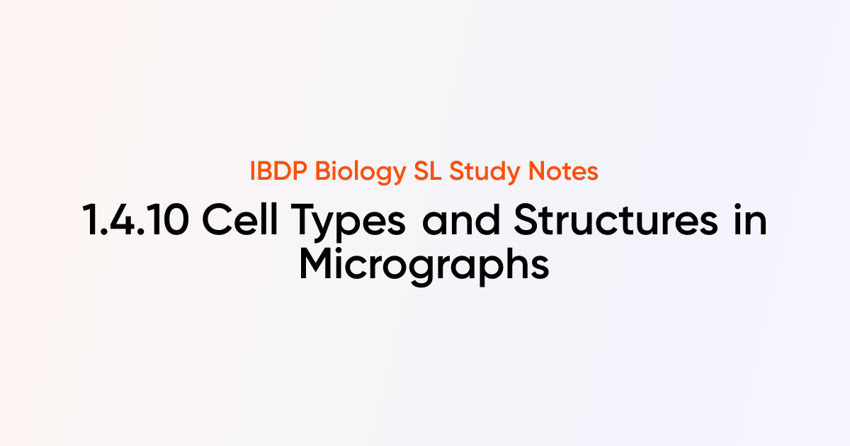 Cell Types and Structures in Micrographs (1.4.10) | IB DP Biology SL ...
