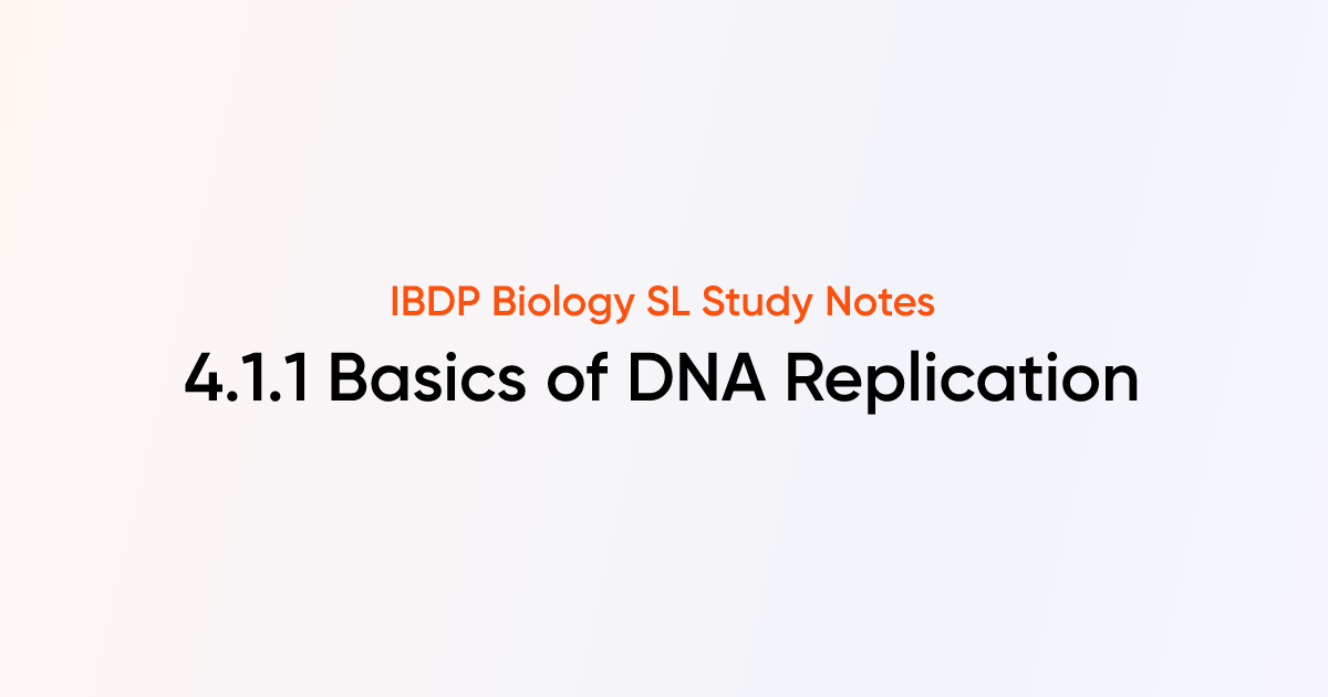 Basics of DNA Replication (4.1.1) | IB DP Biology SL 2025 Notes ...
