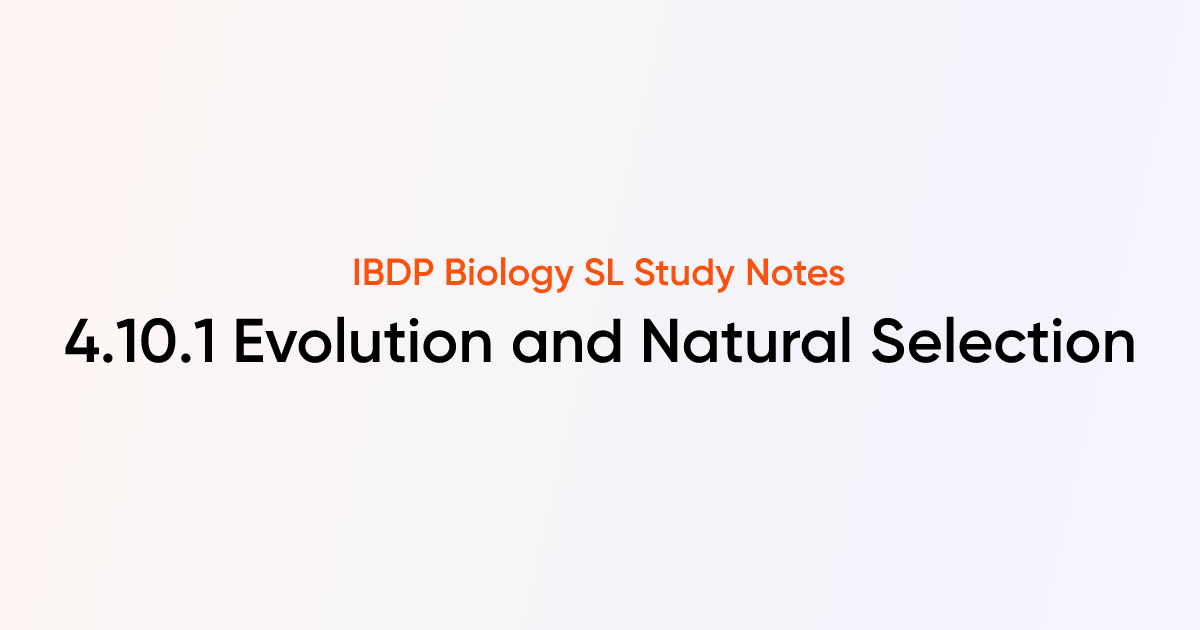 Evolution and Natural Selection (4.10.1) | IB DP Biology SL 2025 Notes ...