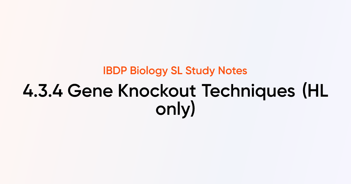 Gene Knockout Techniques (4.3.4) | IB DP Biology SL 2025 Notes | TutorChase