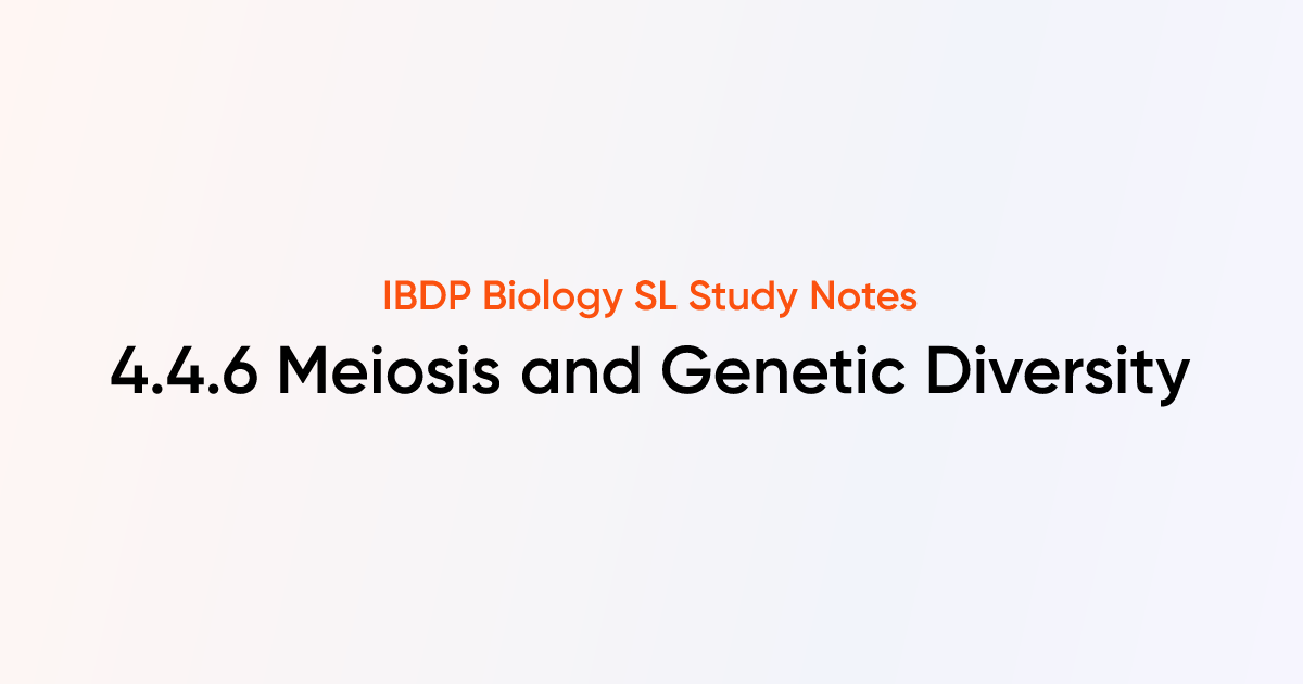 Meiosis and Genetic Diversity (4.4.6) | IB DP Biology SL 2025 Notes ...