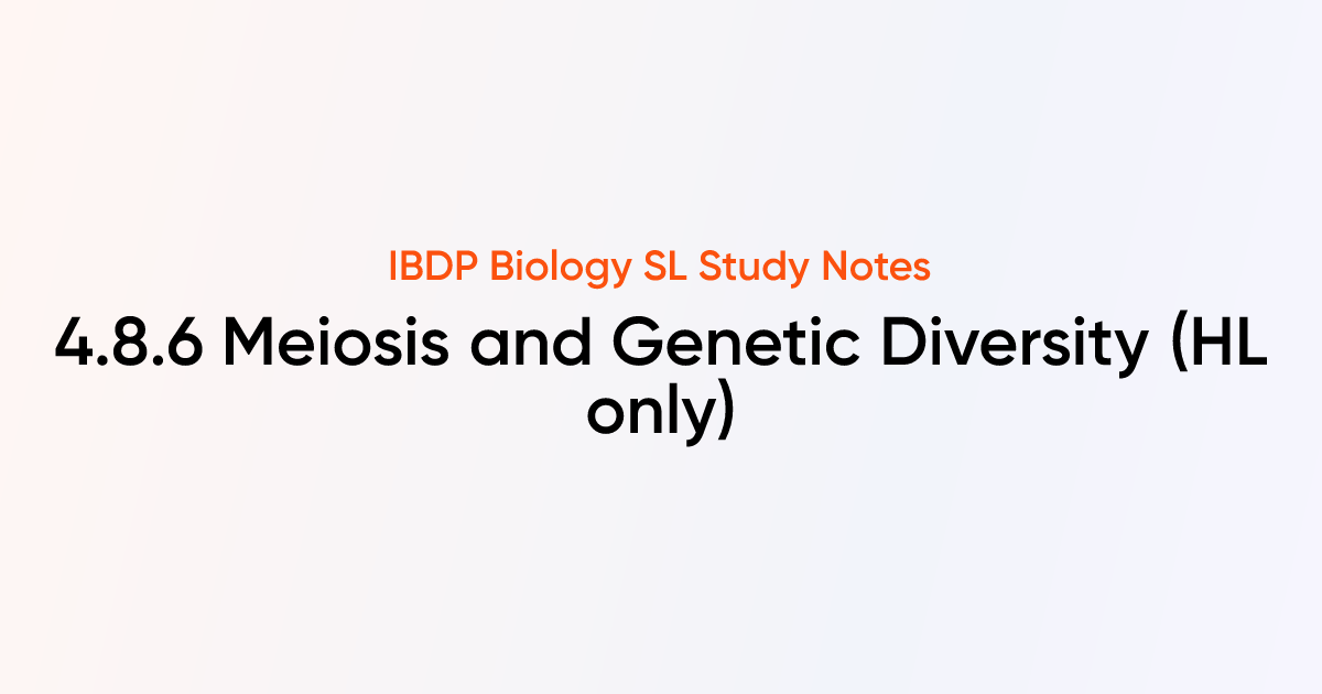 Meiosis and Genetic Diversity (4.8.6) | IB DP Biology SL 2025 Notes ...