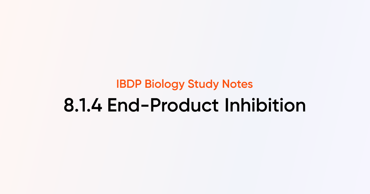 End-Product Inhibition (8.1.4) | IB DP Biology Notes | TutorChase