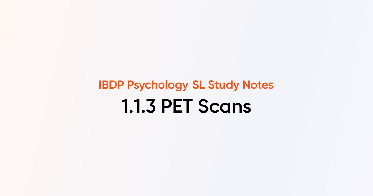 PET Scans (1.1.3) | IB DP Psychology SL | TutorChase