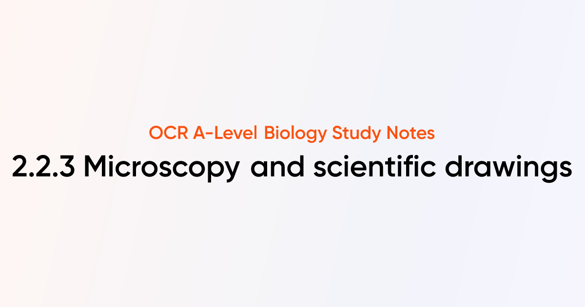Microscopy and scientific drawings (2.2.3) | OCR A-Level Biology Notes ...