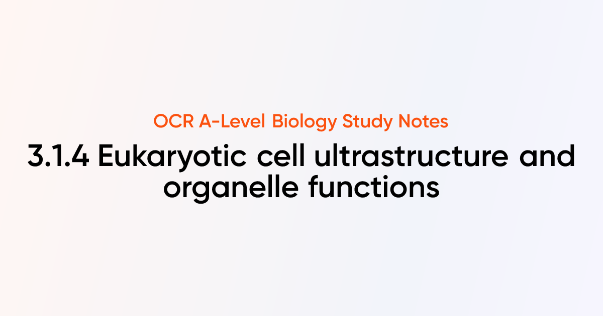 Eukaryotic cell ultrastructure and organelle functions (3.1.4) | OCR A ...
